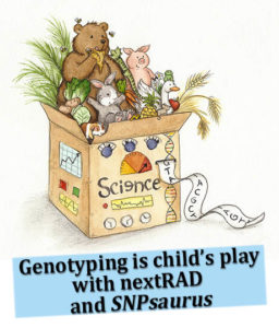 genotyping is childs play